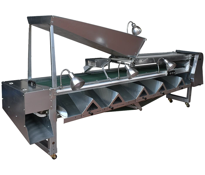 Zeytin Eleme Makinesi Celebi Profesyonel